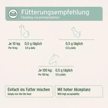 Grünlippmuschelpulver